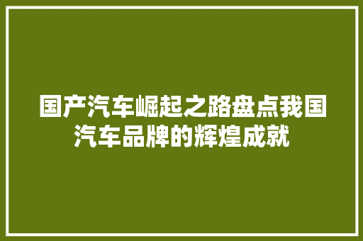 国产汽车崛起之路盘点我国汽车品牌的辉煌成就
