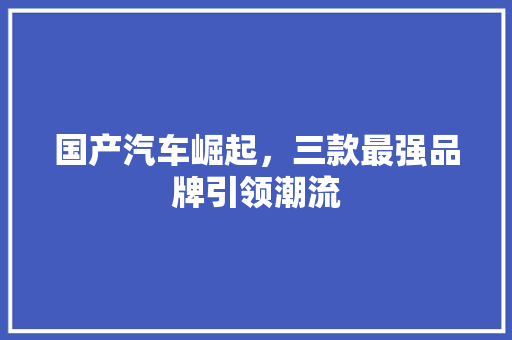 国产汽车崛起，三款最强品牌引领潮流