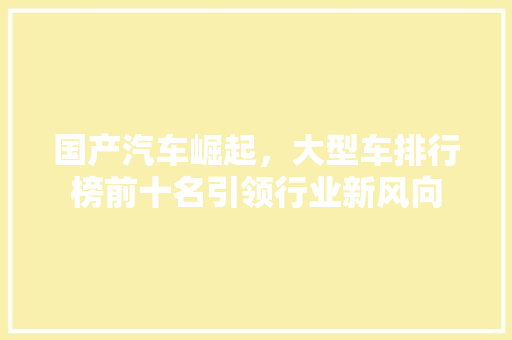 国产汽车崛起，大型车排行榜前十名引领行业新风向