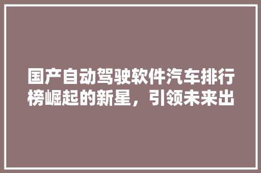 国产自动驾驶软件汽车排行榜崛起的新星，引领未来出行