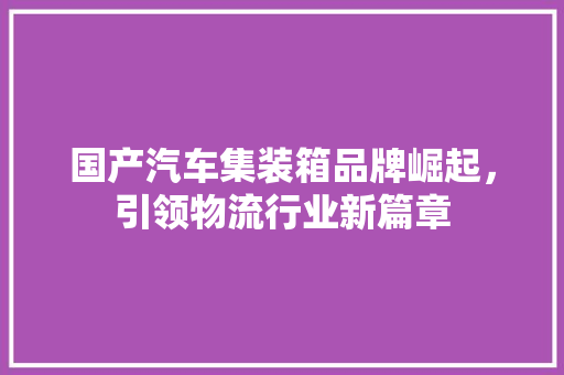 国产汽车集装箱品牌崛起，引领物流行业新篇章