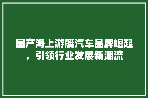 国产海上游艇汽车品牌崛起，引领行业发展新潮流
