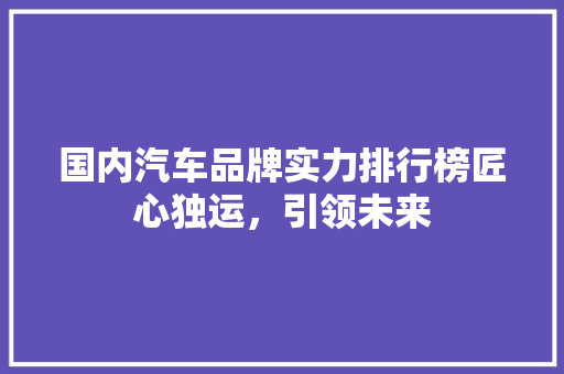 国内汽车品牌实力排行榜匠心独运，引领未来
