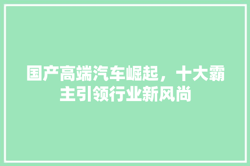 国产高端汽车崛起，十大霸主引领行业新风尚