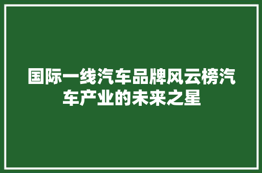 国际一线汽车品牌风云榜汽车产业的未来之星