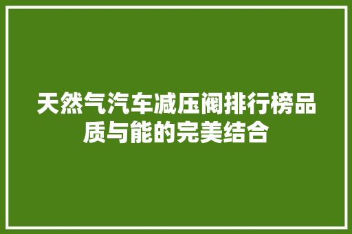天然气汽车减压阀排行榜品质与能的完美结合
