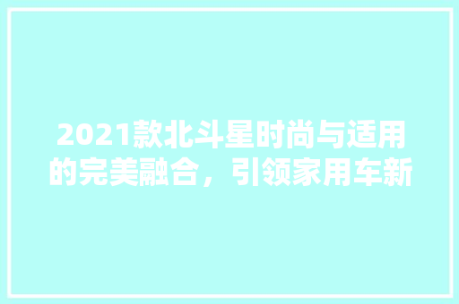 2021款北斗星时尚与适用的完美融合，引领家用车新潮流