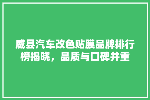 威县汽车改色贴膜品牌排行榜揭晓，品质与口碑并重