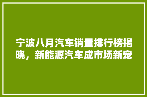 宁波八月汽车销量排行榜揭晓，新能源汽车成市场新宠