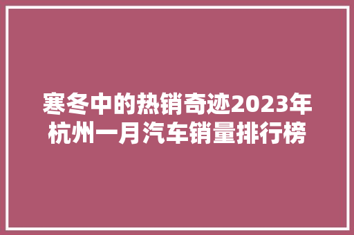 寒冬中的热销奇迹2023年杭州一月汽车销量排行榜