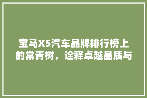 宝马X5汽车品牌排行榜上的常青树，诠释卓越品质与非凡魅力